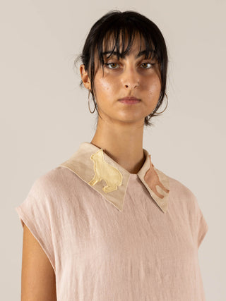 Detachable Collar